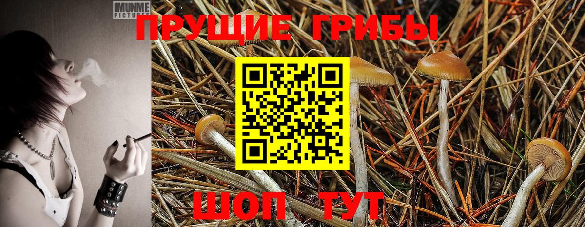 Псилоцибиновые грибы Psilocybine cubensis  Галлюциногенные грибы MAGIC MUSHROOMS  Вход с VPN  Ярославль 